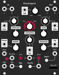 Grayscale Alternate Panel: Make Noise Morphagene (Black)