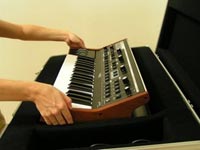 Little Phatty Case